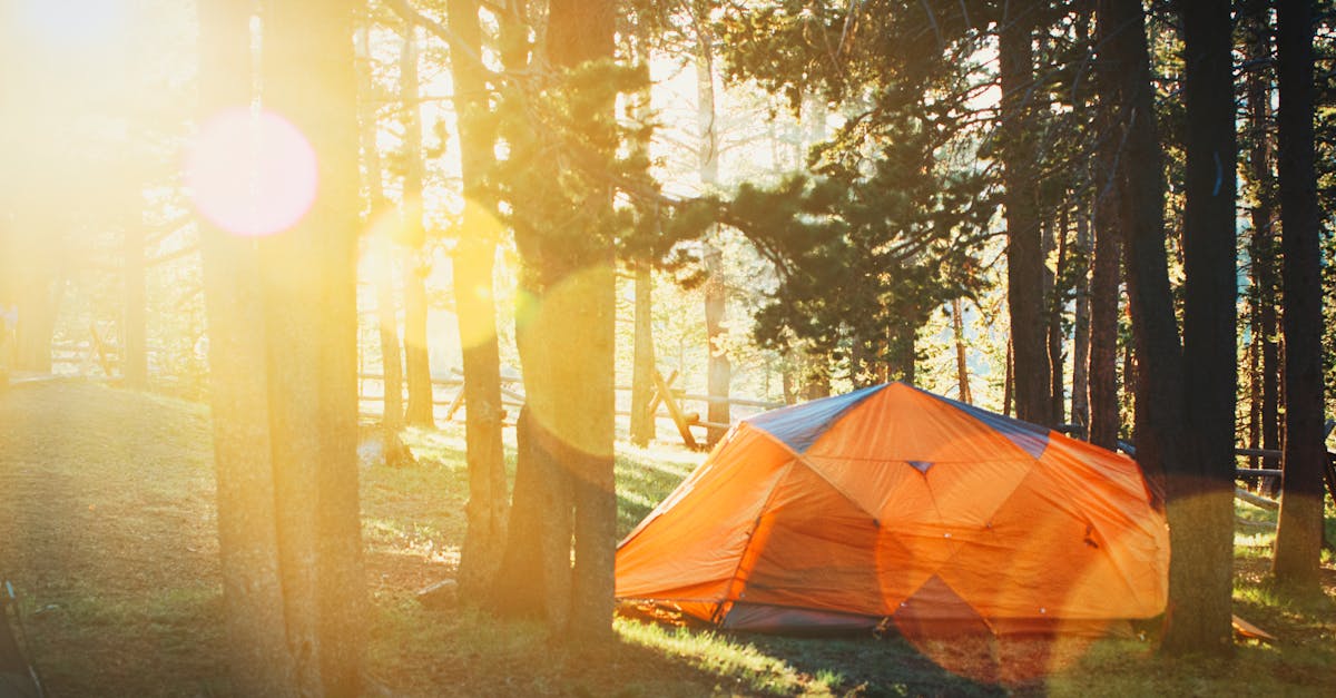 découvrez le plaisir du camping à travers des paysages magnifiques, des activités en plein air et des moments inoubliables en famille ou entre amis. évadez-vous de la routine quotidienne et reconnectez-vous avec la nature dans des sites de camping adaptés à tous les niveaux.