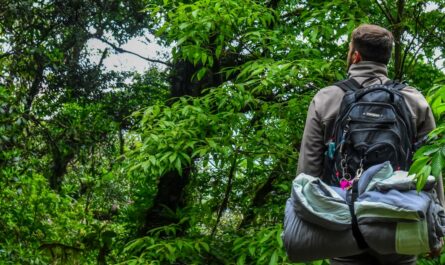découvrez le meilleur du camping ! profitez des paysages naturels, des activités en plein air et d'une expérience inoubliable en communion avec la nature. que vous soyez en famille ou entre amis, trouvez l'emplacement idéal pour créer des souvenirs mémorables.