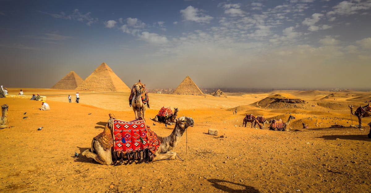 découvrez les merveilles de l'égypte, un pays riche en histoire et culture. explorez les pyramides de gizeh, naviguez sur le nil et imprégnez-vous de l'ambiance incroyable des souks. planifiez votre voyage en égypte pour vivre une aventure inoubliable.