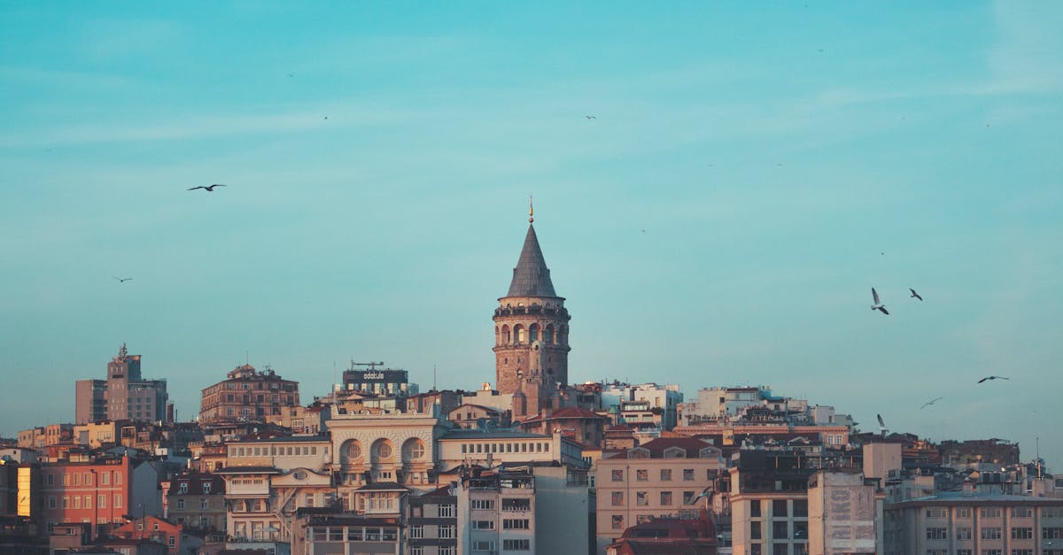 découvrez istanbul, la ville fascinante qui relie l'orient et l'occident. explorez ses richesses culturelles, son histoire millénaire, ses monuments emblématiques comme la mosquée bleue et le palais de topkapi, ainsi que sa gastronomie variée. un voyage inoubliable vous attend dans cette métropole dynamique!