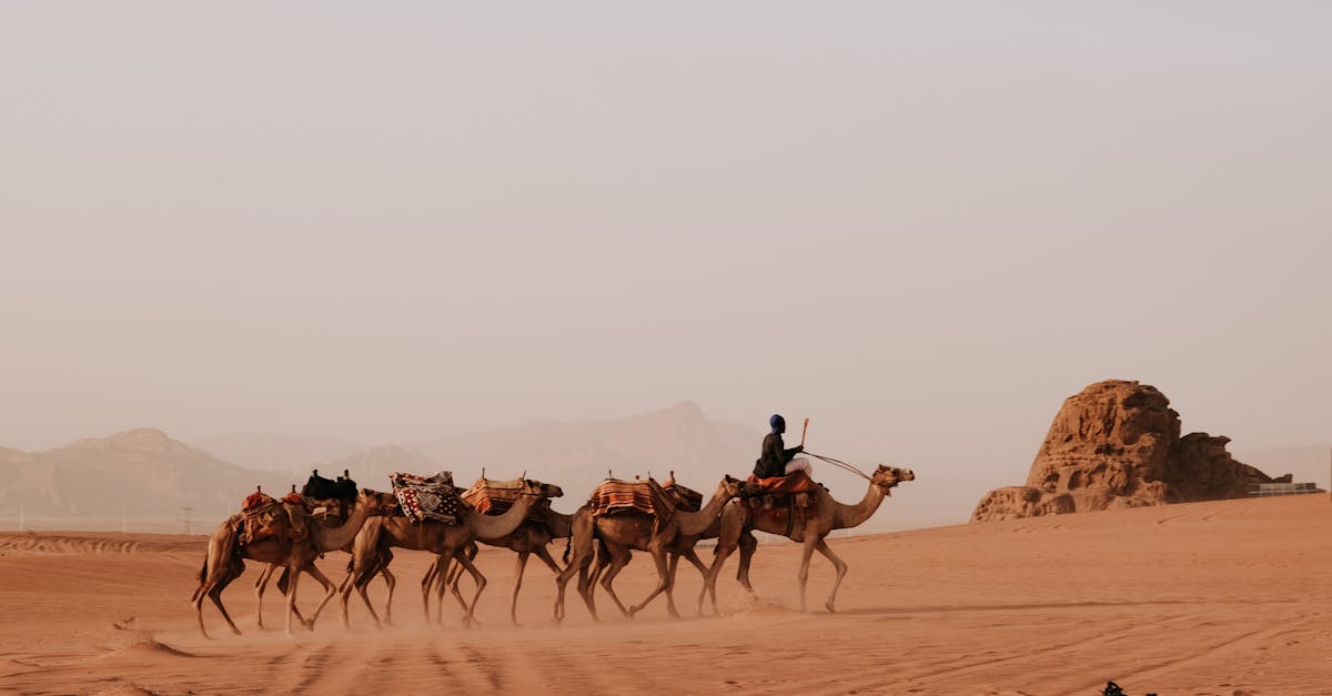 découvrez l'univers de jordan : histoire, sneaker iconique, collections, et collaborations. explorez l'actualité, conseils d'achat et modèles incontournables de la marque légendaire.