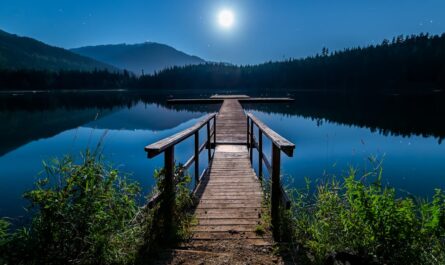 découvrez la beauté des lacs, ces merveilles naturelles qui offrent des paysages à couper le souffle, des activités de loisirs variées et une biodiversité riche. plongez dans l'univers serein des lacs à travers nos guides et conseils pour profiter au maximum de ces havres de paix.