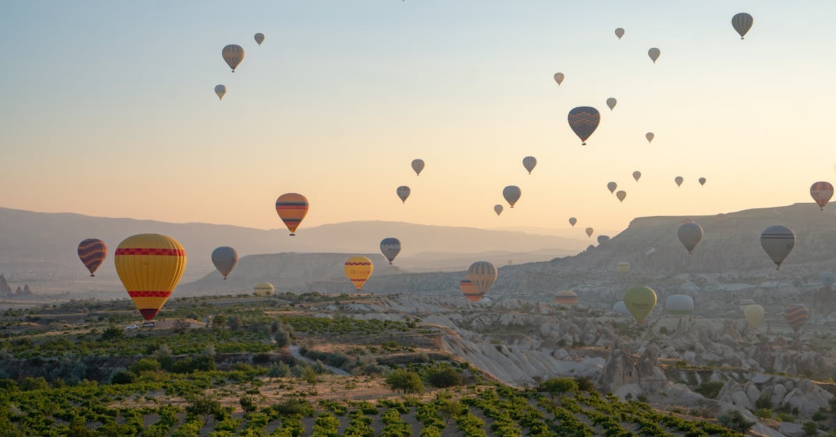 découvrez le tourisme mémoriel, une expérience immersive qui vous transporte à travers l'histoire et les lieux chargés de souvenirs. plongez dans des récits émouvants et explorez des sites emblématiques qui commémorent les événements marquants de notre passé.