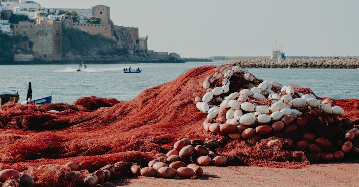 découvrez le maroc, un pays riche en culture, paysages variés et traditions fascinantes. explorez ses médinas animées, ses souks colorés et ses paysages époustouflants, du désert du sahara aux montagnes de l'atlas. préparez votre voyage et plongez dans l'hospitalité marocaine.