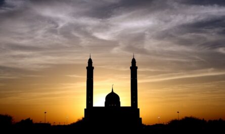 découvrez l'histoire, l'architecture et la signification culturelle des mosquées à travers le monde. apprenez-en plus sur ces lieux de culte emblématiques et leur importance dans la société.