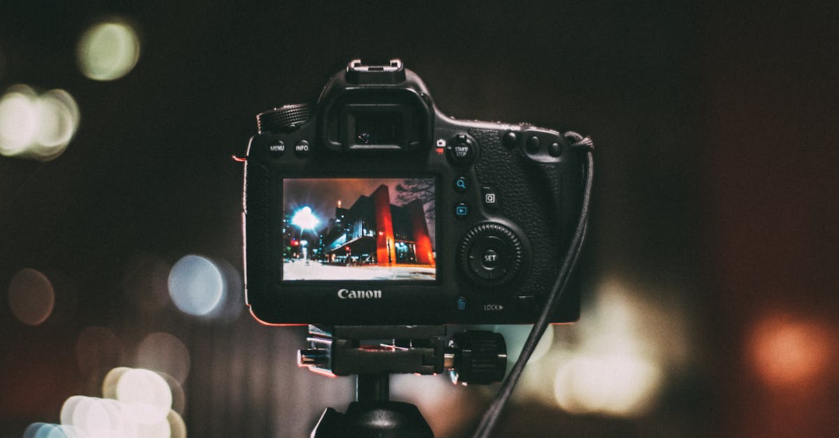découvrez l'art de la photographie, où chaque image raconte une histoire. apprenez des techniques, explorez des styles variés et laissez libre cours à votre créativité à travers l'objectif. rejoignez notre communauté passionnée de photographes et partagez votre vision du monde.