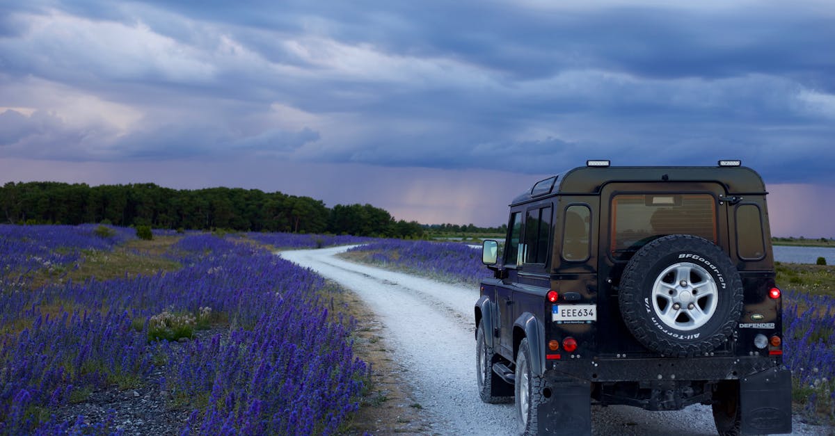 organisez un road trip mémorable: itinéraires incontournables, conseils pratiques, budget, check-list et idées de destinations pour voyager en liberté.