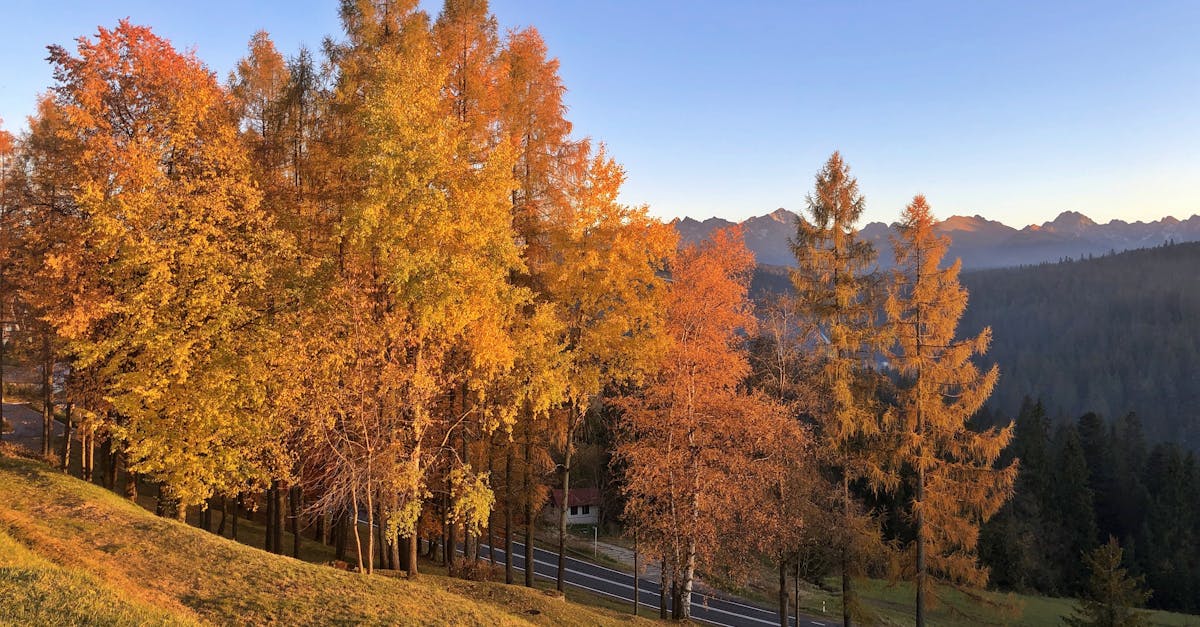 découvrez les routes pittoresques qui vous emmènent à travers des paysages époustouflants. profitez de panoramas à couper le souffle, de charmants villages et de paysages naturels à perte de vue. une aventure inoubliable vous attend sur ces itinéraires enchanteurs.